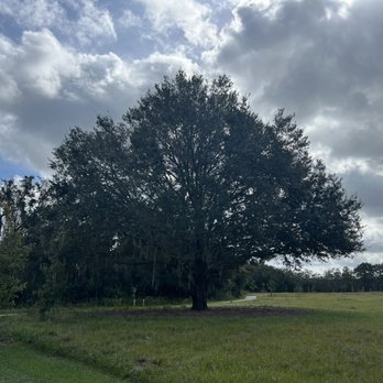 Pebble Creek Park - Parks Near Me - Riverview, Florida