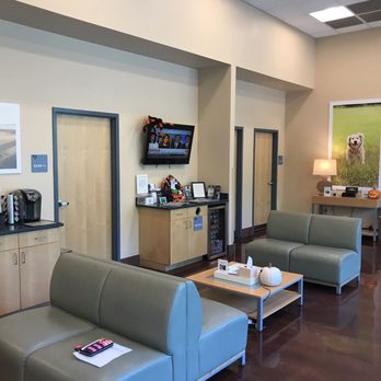 BluePearl Pet Hospital - The waiting room - Veterinarians Near Me - Mt. Pleasant, South Carolina BluePearl Pet Hospital - The waiting room - Veterinarians Near Me - Mt. Pleasant, South Carolina