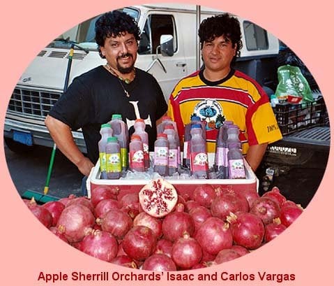 Sherrill Orchards Logo