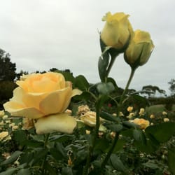 Werribee Park