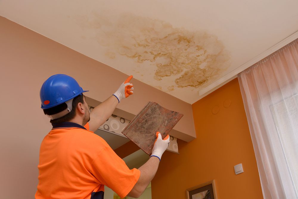 Williams Environmental Group - mold inspector in Voorhees, NJ