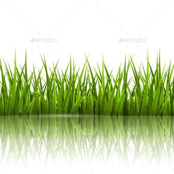 J & A Lawn - green grass with water reflection - Lawn Services Near Me J & A Lawn - green grass with water reflection - Lawn Services Near Me