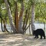 Photo of Wenatchee River Park