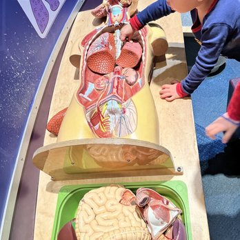 Arizona Science Center - Children's Museums Near Me - Phoenix, Arizona
