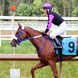 Laurel Park