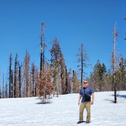 Shaver Lake