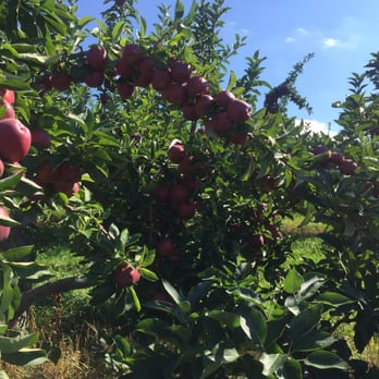 Masker Orchards - Beautiful arches of Mother Nature - Fruits & Veggies Near Me - Warwick, New York