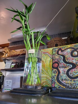 Thai Vegan by null