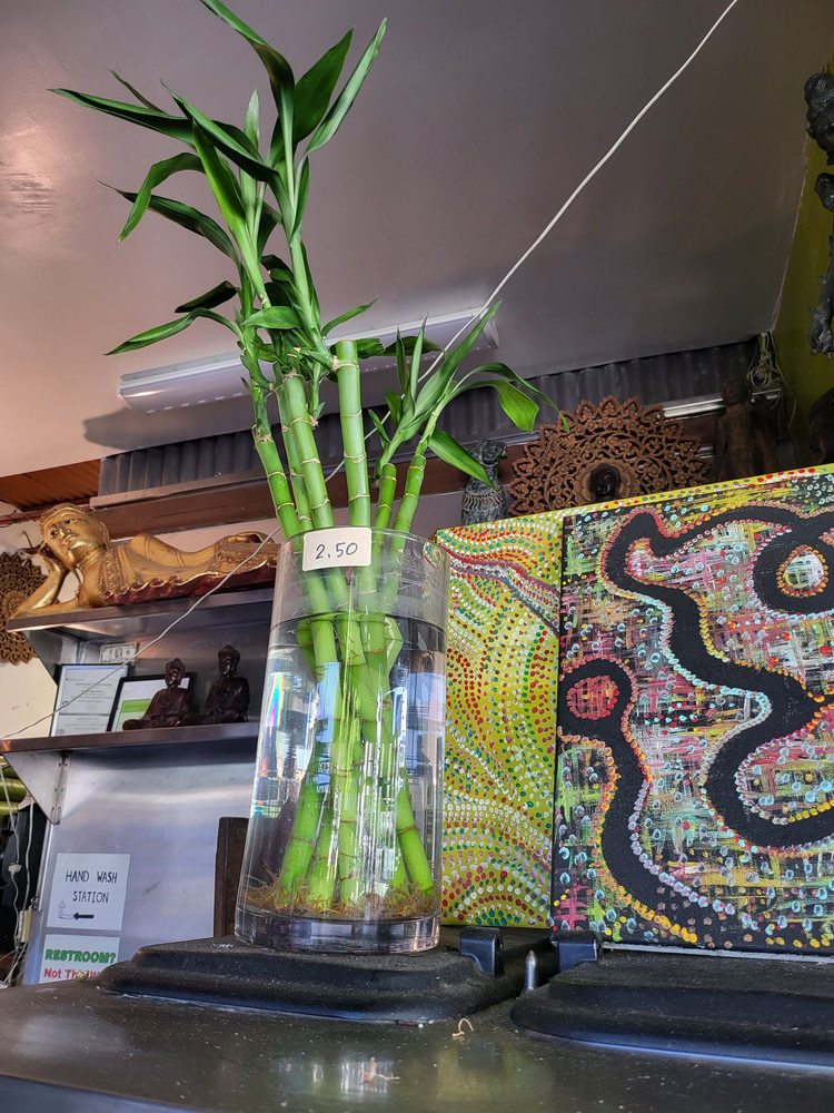 Thai Vegan