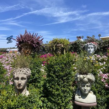 The Flower Fields - Statues before the fields - Venues & Event Spaces Near Me - Carlsbad, California The Flower Fields - Statues before the fields - Venues & Event Spaces Near Me - Carlsbad, California