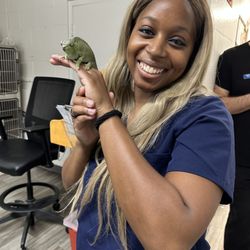 East Bay Sonovet Services