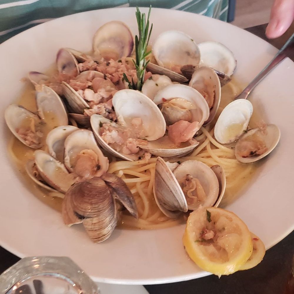 San Marco - Spaghetti with clams. Good. - Italian Near Me - Venice, Florida San Marco - Spaghetti with clams. Good. - Italian Near Me - Venice, Florida