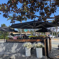 The Coronado Flower Lady