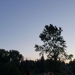 Ballinger Park Boat and Fishing Access - Sunset