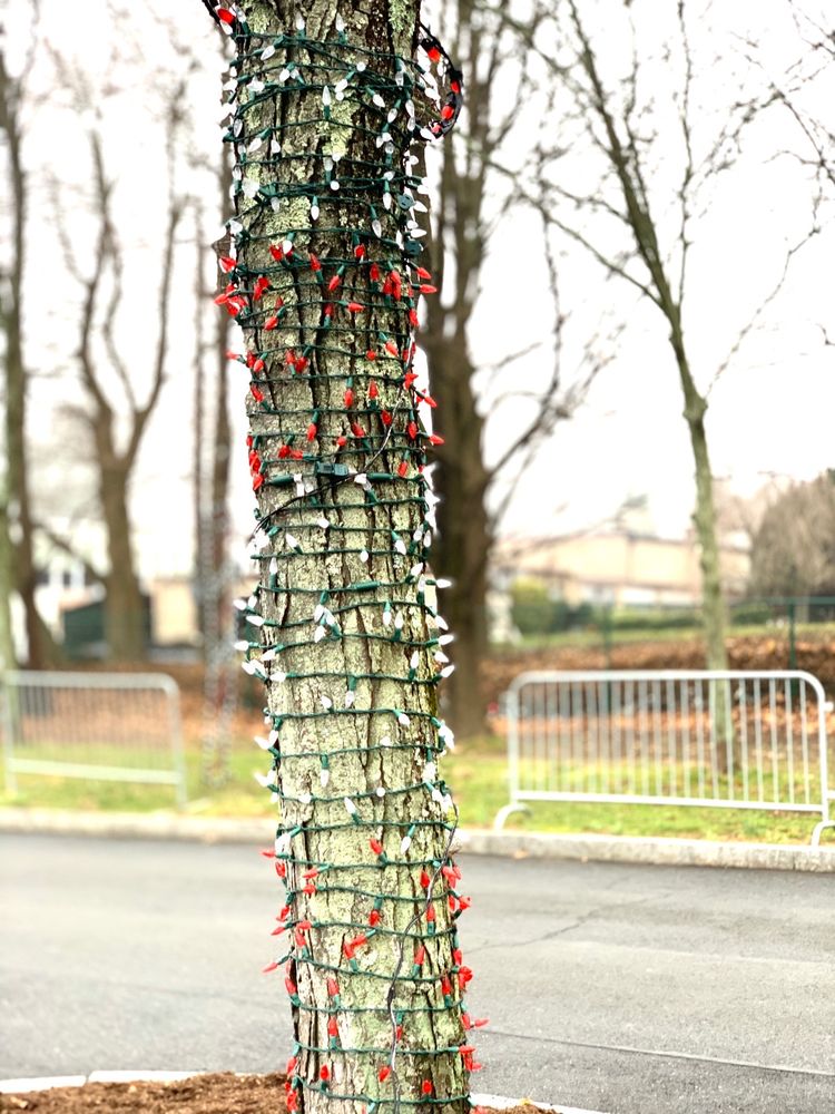 WINTER WONDERLAND Updated June 2024 23 Photos 1 Bronx River Pkwy