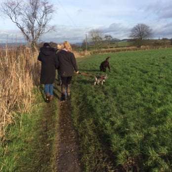 Care2Pets - One of their lovely walks! - Dog Walkers Near Me - Stockport, XGM