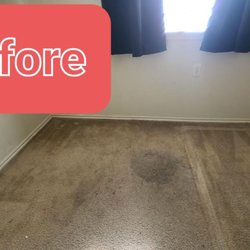 Lifeco Steam Clean