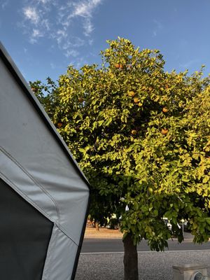 Tucson KOA Resort by null