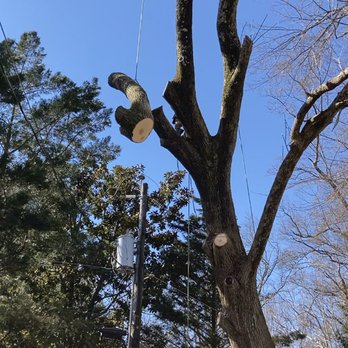 Nain Tree Service and Home Improvement - Cut tree down - Tree Services Near Me Nain Tree Service and Home Improvement - Cut tree down - Tree Services Near Me