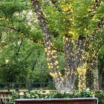 Venue at the Grove - Lush green grass and trees with lights - Venues & Event Spaces Near Me - Phoenix, Arizona