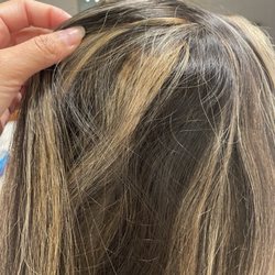 The Wild Hair