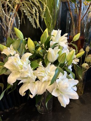 Gilly Flowers by null