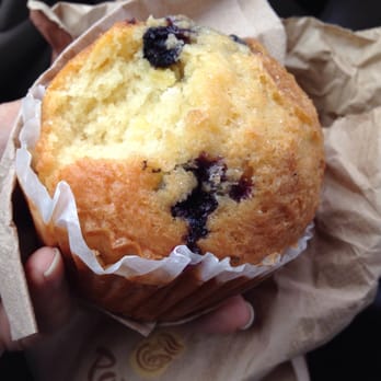 Panera Bread - Eww... I found two dead ants on my muffin. - Sandwiches Near Me - Hayward, California Panera Bread - Eww... I found two dead ants on my muffin. - Sandwiches Near Me - Hayward, California