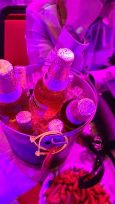 Plaza NIGHTCLUB AND DANCE HALL by null