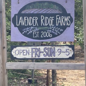 Lavender Ridge Farms - Entrance sign - Nurseries & Gardening Near Me - Gainesville, Texas Lavender Ridge Farms - Entrance sign - Nurseries & Gardening Near Me - Gainesville, Texas