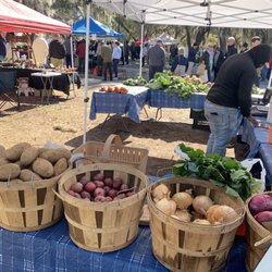 Port Royal Farmers' Market - Fresh produce