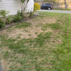 Yard Works - How it looked before starting job.