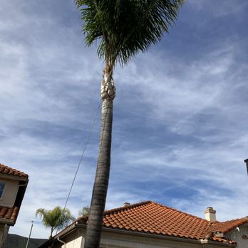 Westview Tree Experts - Tree Services Near Me - Vista, California