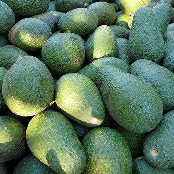 Eze Farm - EZE Farm avocado picking season - Venues & Event Spaces Near Me - Fillmore, California