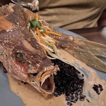Tiffins Restaurant - Whole fish - New American Near Me - Lake Buena Vista, Florida Tiffins Restaurant - Whole fish - New American Near Me - Lake Buena Vista, Florida