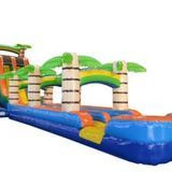 Bounce Around - 27' Tropical Dual Lane Water Slide