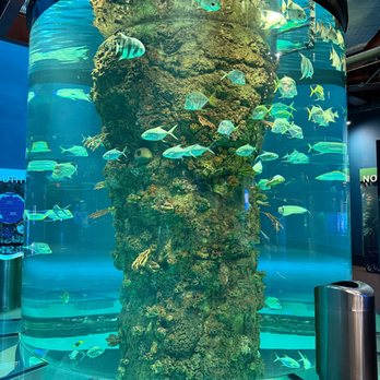 Moody Gardens - Aquarium - Museums Near Me - Galveston, Texas Moody Gardens - Aquarium - Museums Near Me - Galveston, Texas