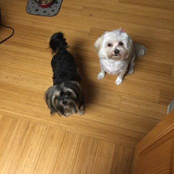 Muddy Paws Grooming - Pet Groomers Near Me - Oakley, California