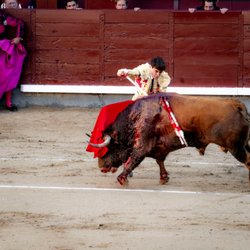 Plaza Monumental de Toros de las Ventas