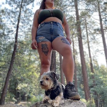 Pineknot Family Campground - Campgrounds Near Me - Big Bear, California Pineknot Family Campground - Campgrounds Near Me - Big Bear, California