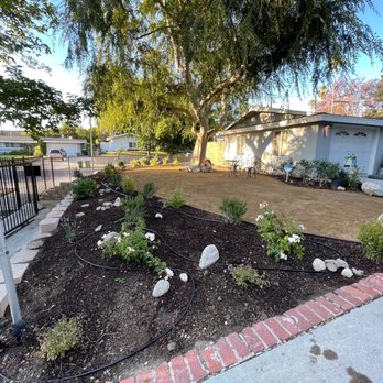 Sunlight Tree Service & Landscaping - a front yard - Tree Services Near Me - Camarillo , California Sunlight Tree Service & Landscaping - a front yard - Tree Services Near Me - Camarillo , California