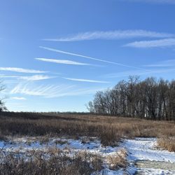 Mercer Meadows Park