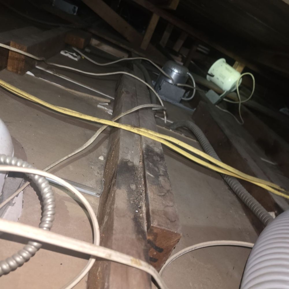 LA Rodents Control - Pest Control Near Me