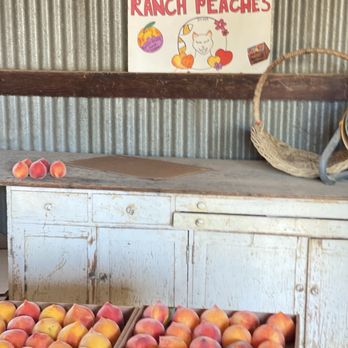 Moffatt Ranch - Pick Your Own Farms Near Me - Brentwood, California Moffatt Ranch - Pick Your Own Farms Near Me - Brentwood, California