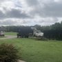 Dailey Tree Care