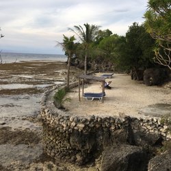 The Blue Orchid - Low tide