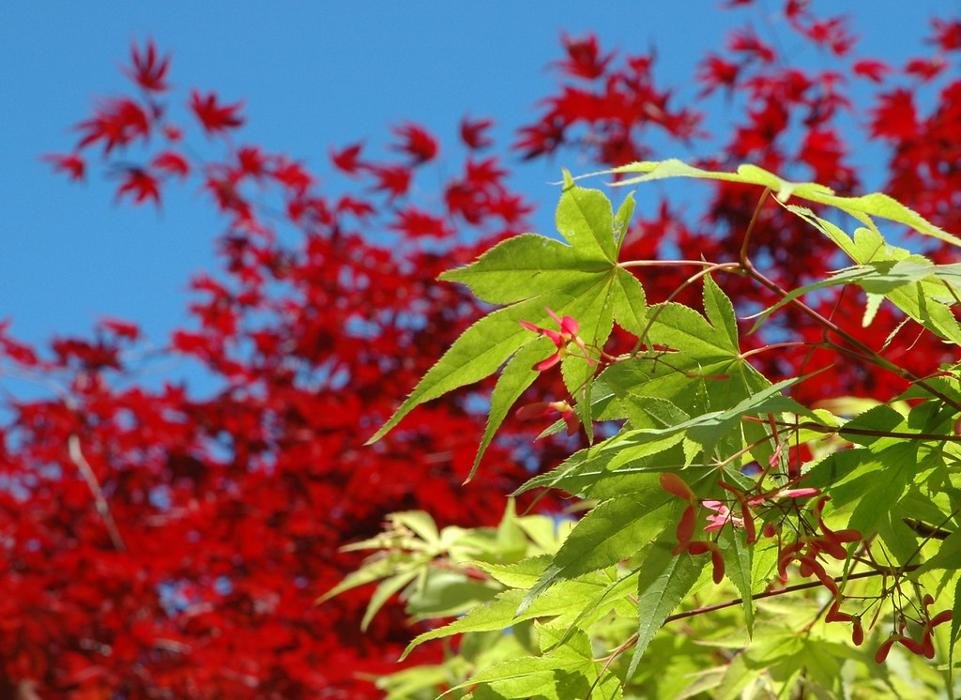 SATSOP LANDSCAPING & NURSERY Updated September 2024 36 Photos 746 Monte Elma Rd, Elma