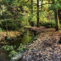 Elvaston Castle Country Park