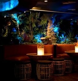 Mahiki by null