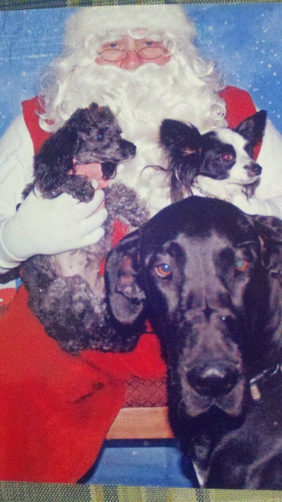 ALL P.A.W.S. ON DECK Updated August 2024 1840 29th Ave Pl NE