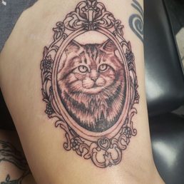 A beautiful cat done by joe